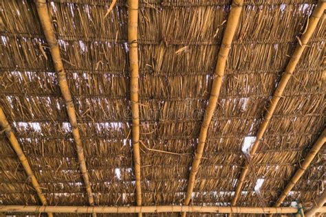 Bamboo Roof Texture Stock Image Image Of Construction 21021439