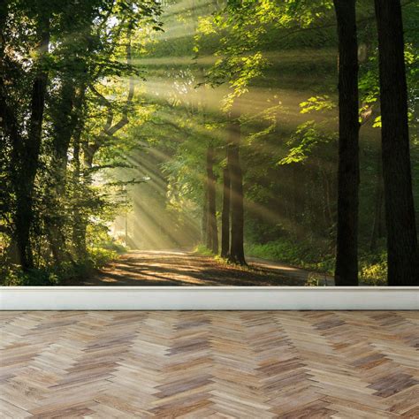 Wall Mural Shining Through The Forest Trees Peel And Stick Etsy