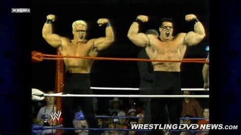 sting and the ultimate warrior vs tracy smothers and robert gibson s brother and other dream