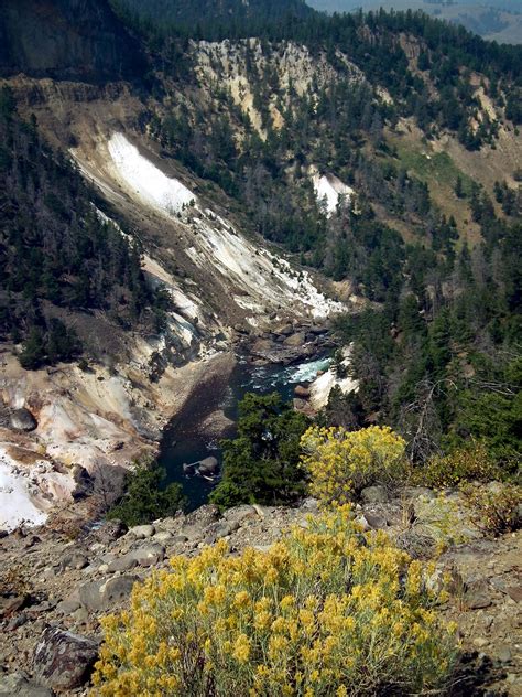Specimen Ridge Trail American Vacations Yellowstone Natural Landmarks