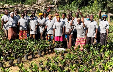 Empowering Farmers To Improve Productivity The Business And Financial Times