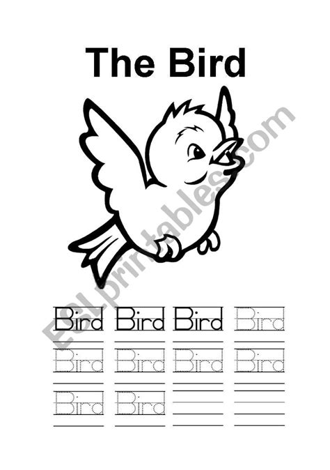 Printable Bird Worksheets