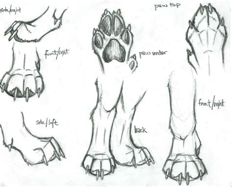 Drawing wolf paws has a variety pictures that united to find out the most recent pictures of drawing wolf paws here, and as well as you can get the these many pictures of drawing wolf paws list may become your inspiration and informational purpose. Free Wolf Paw, Download Free Clip Art, Free Clip Art on ...