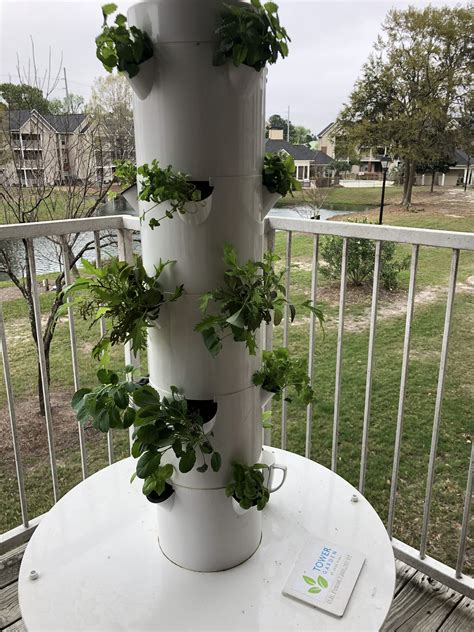 Week 3 Watching This Beautiful Tower Garden Grow For Those That Don