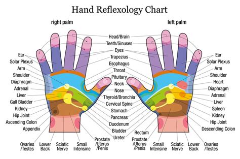 Diy Foot And Hand Reflexology Including Foot Reflexology Chart