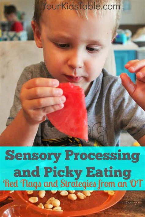 8 Secret Strategies For Sensory Food Aversions In Kids