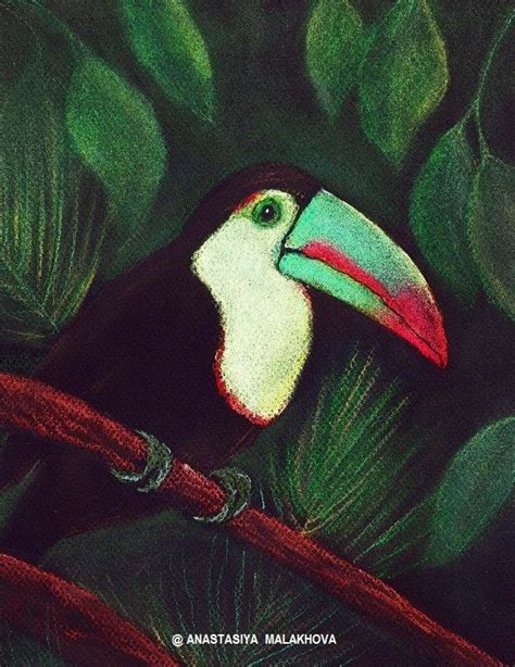 Realistische geïsoleerde figuur van tropische vogels met grote snavel. PAINTING - TOEKAN (met afbeeldingen) | Schilderij ...