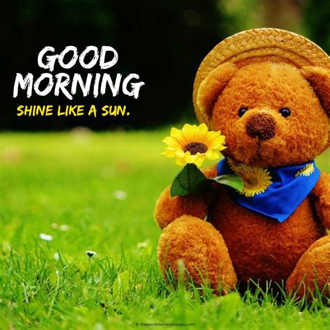Extensive Collection Of K Good Morning Teddy Images Over Breathtaking Options