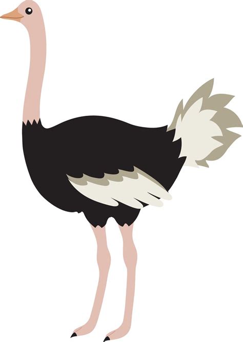 Cute Cartoon Ostrich Images And Pictures Becuo Animal Coloring Pages