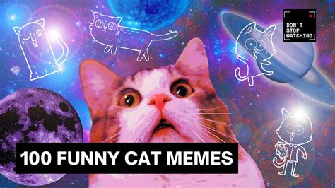 Watch This 100 Funniest Cat Memes Ever Youtube