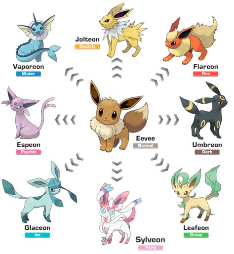 Top 8 Eevee Evolutions In Pokémon Levelskip
