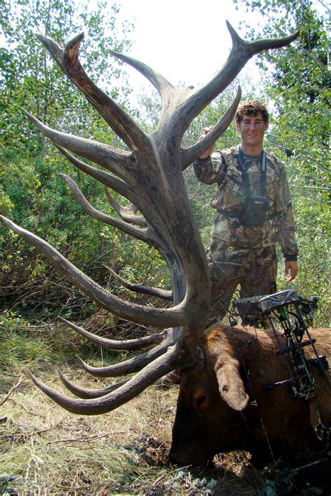 World Record Spider Bull Elk