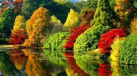 Colorful Autumn Trees With Reflection On River During Daytime Nature Hd