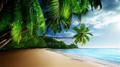 167 4k Ultra Hd Tropical Wallpapers Background Images Wallpaper Abyss