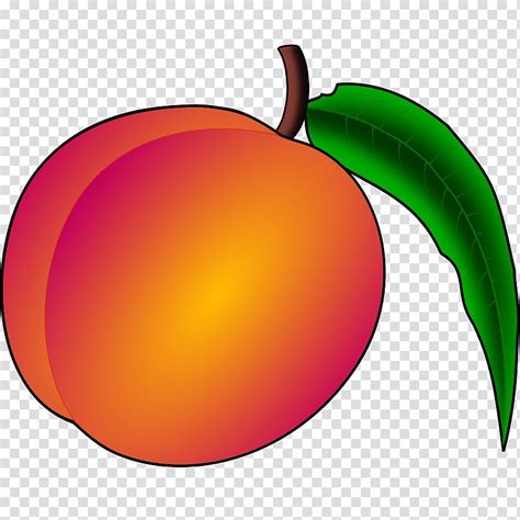Free Peach Clipart 10 Free Cliparts Download Images On Clipground 2022