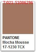 PANTONE Mocha Mousse 17 1230 TCX 色号查询 PANTONE 潘通色卡国内代理商 彩虹国际色卡 您色彩选择的