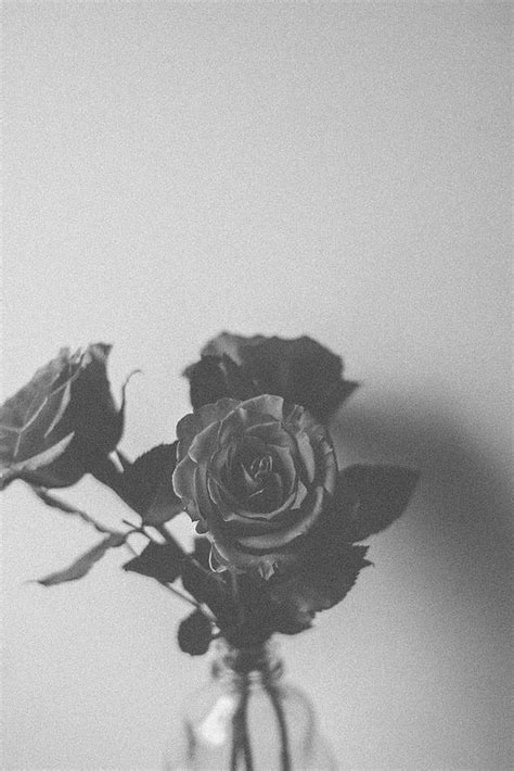 Download the background for free. Untitled | Black and white photo wall, Black and white ...