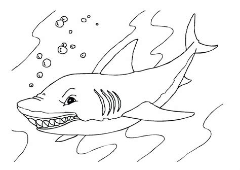 Cập nhật với hơn 84 về vẽ tranh con cá mập mới nhất jtcvietnam edu vn