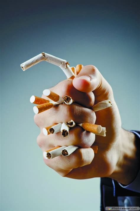 Quit Smoking Motivation Anti Smoking Medical Design Destruction