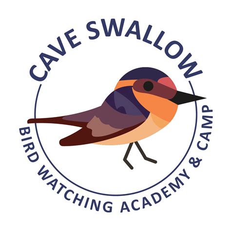 cave swallow bird watching academy