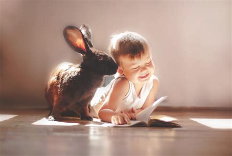 Rabbit And Children Cute Hd Cute 4k Wallpapers Images