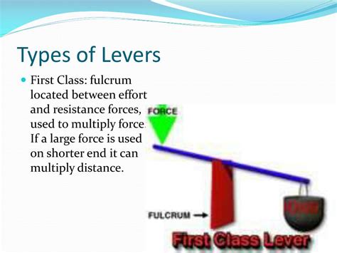 Ppt Types Of Levers Powerpoint Presentation Free Download Id2689158