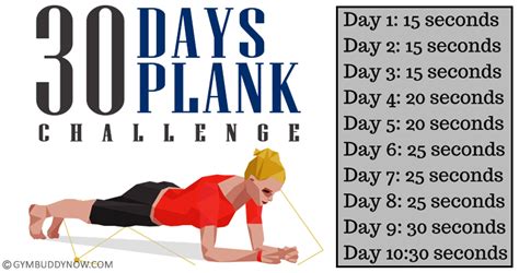 Try The 30 Day Plank Challenge For Beginners Plank Workout