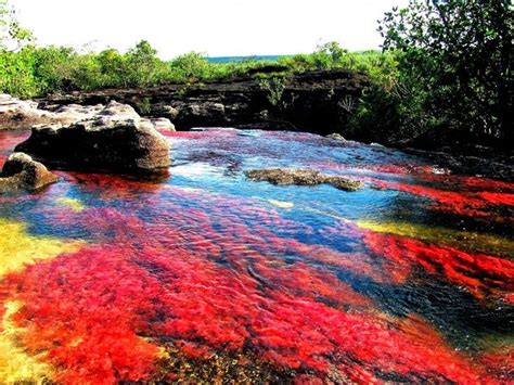 Amazing Place Caño Cristales A Five Color River In Colombia Rainbow