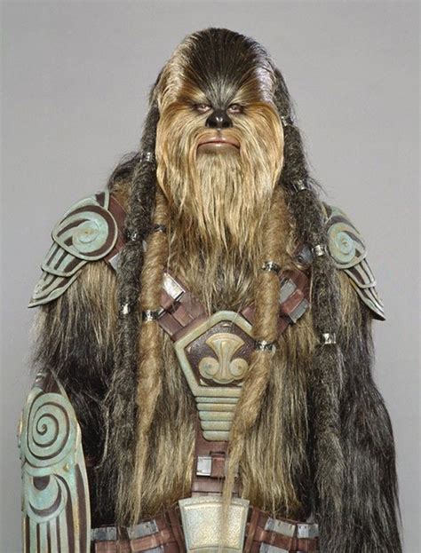 Wookie Warrior Star Wars Species Star Wars Geek Chewie Star Wars