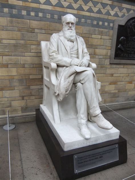 Filecharles Darwin Statue Natural History Museum London Dscf0388