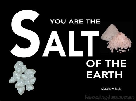 Matthew 5 13 You Are The Salt Of The Earth White