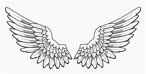 Transparent Golden Wings Png Angel Wings Drawing Png Png Download