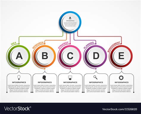 Infographic Design Organization Chart Template Vector Image