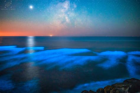 Neon Blue Waves Caught In Mind Blowing Photos On Oregon Coast That