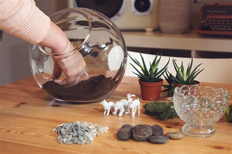 Glass Globe Plant Centerpiece Setup You… Flickr