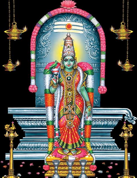 Goddess Madurai Meenakshi Amman And Lord Amman Phone Hd Phone Wallpaper