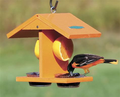 Maybe you would like to learn more about one of these? Duncraft.com: Duncraft 4077 Eco-Friendly Oriole Fruit & Jelly Feeder