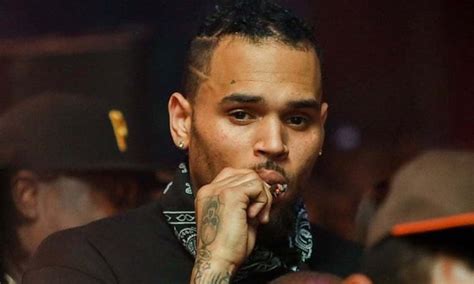 Chris Brown Hints Jamie Foxx Will Be On Indigo Album Urban Islandz