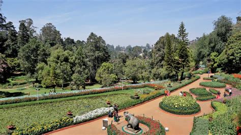 Beautiful Government Botanical Gardens In Ooty Tamilnadu India
