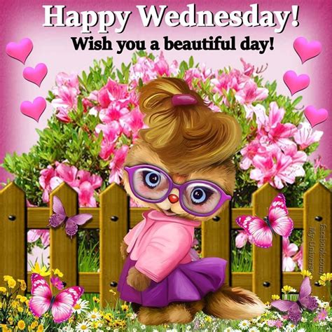 Happy Wednesday Wallpapers Wallpaper Cave