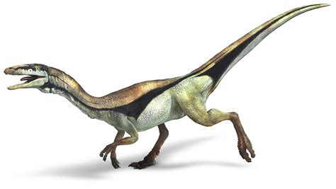 Compsognathus Prehistoric Animals Dinosaur Prehistoric