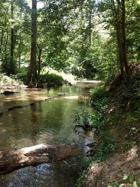 Visit Spring Creek In Central Louisiana To Escape From It All