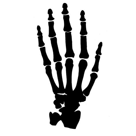 Bone Hand Vector Hand Skeleton Svg Hand Bones Png Halloween Clipart
