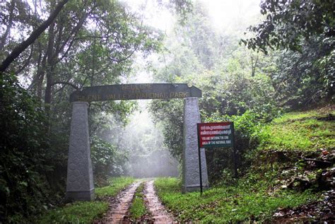 Silent Valley National Park Kerala India Travel Guide