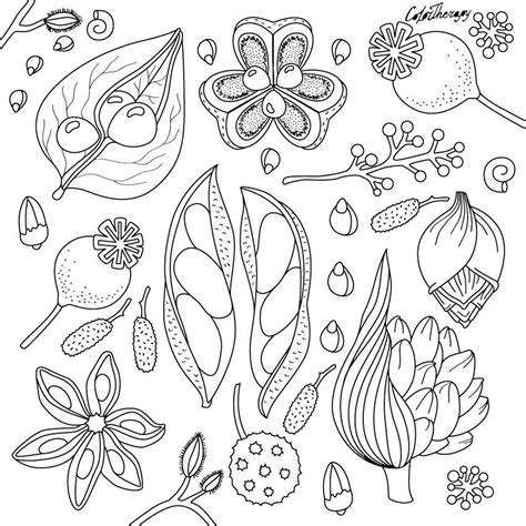 Pin By Robynne Inch On Colouring Color Therapy App Diy Prints Color