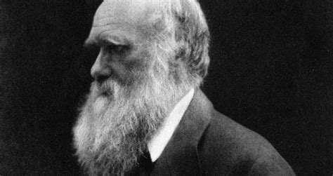 This is by far the largest collection of darwin's manuscripts and private papers online and indeed ever published. Charles Darwin Not Only Discovered Species, He Also Ate ...
