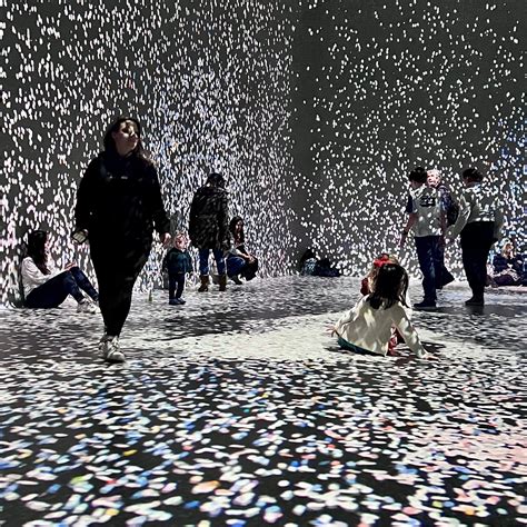 Why is immersive art so popular? — Sarah Ransome Art