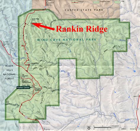Rankin Ridge In Wind Cave National Park