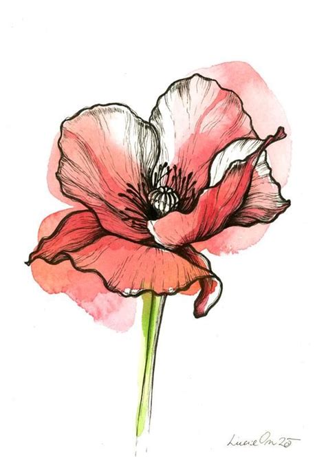 Poppy Flower By Lucieon On Deviantart Watercolor Flower Art Poppy