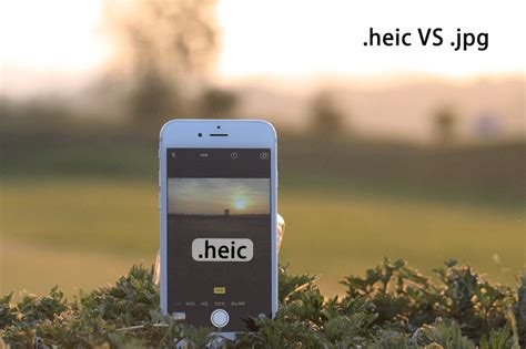 Get To Know More About HEIC And JPEG Image Free HEIC Converter
